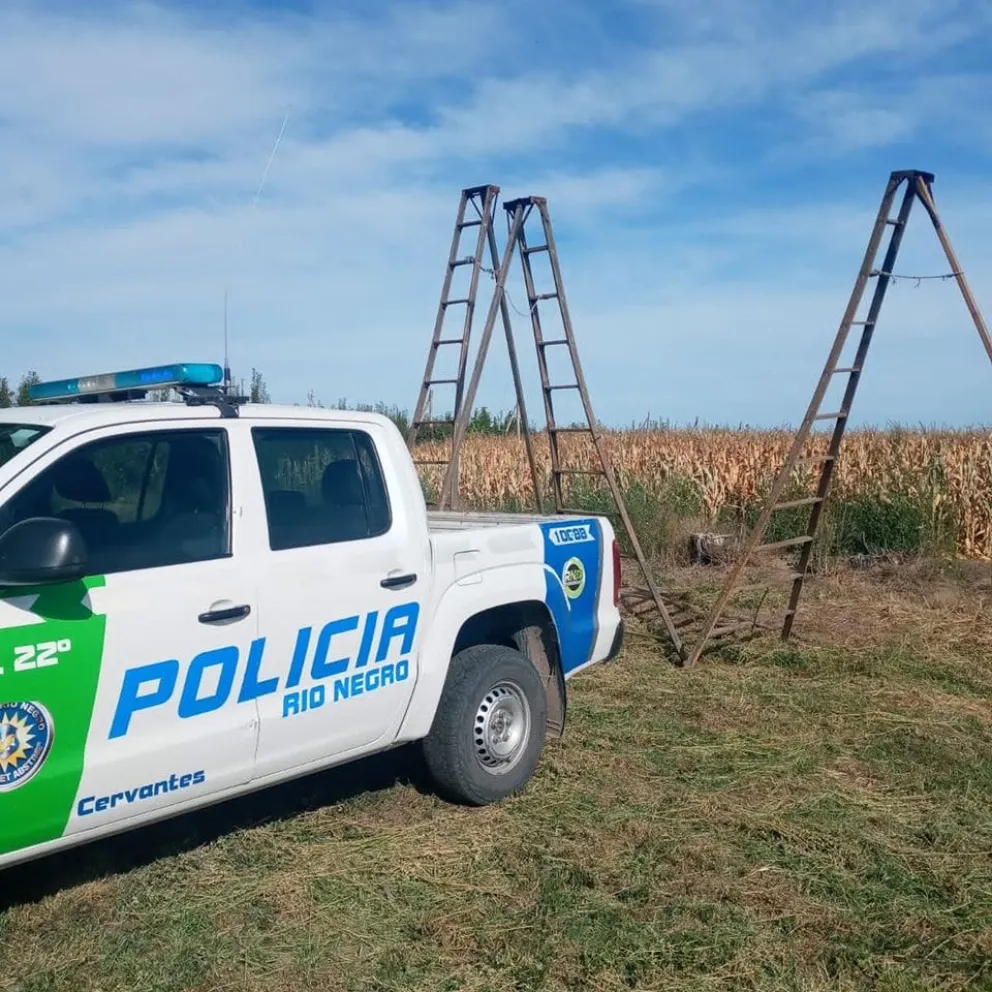 Recuperan escaleras agrícolas que habían sido robadas en una chacra de la zona