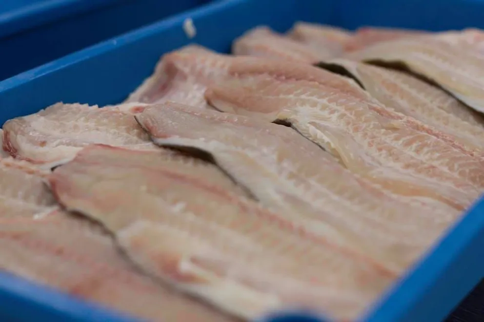 Semana Santa: cuánto cuesta el pescado en Roca 