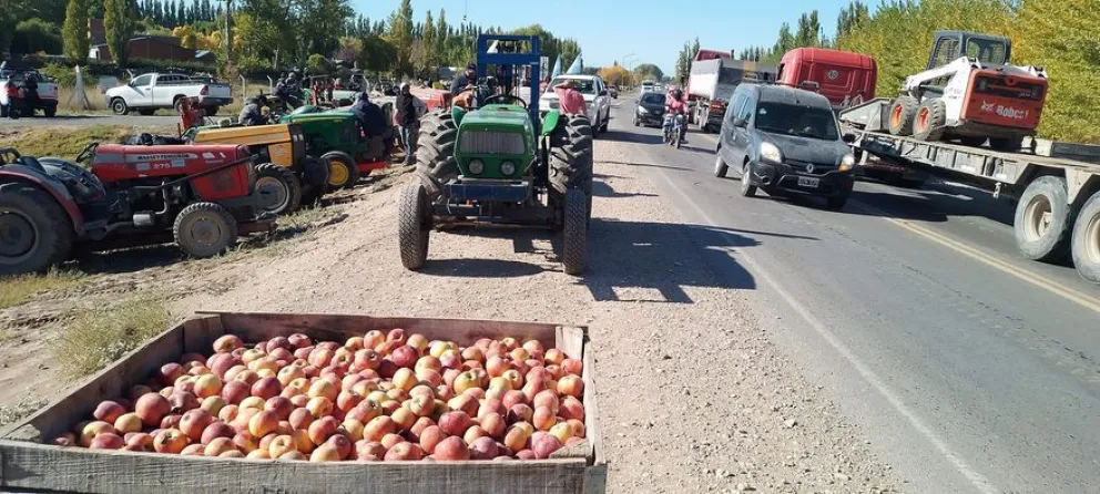 Transito demorado en Ruta 22: productores se manifiestan y regalan fruta