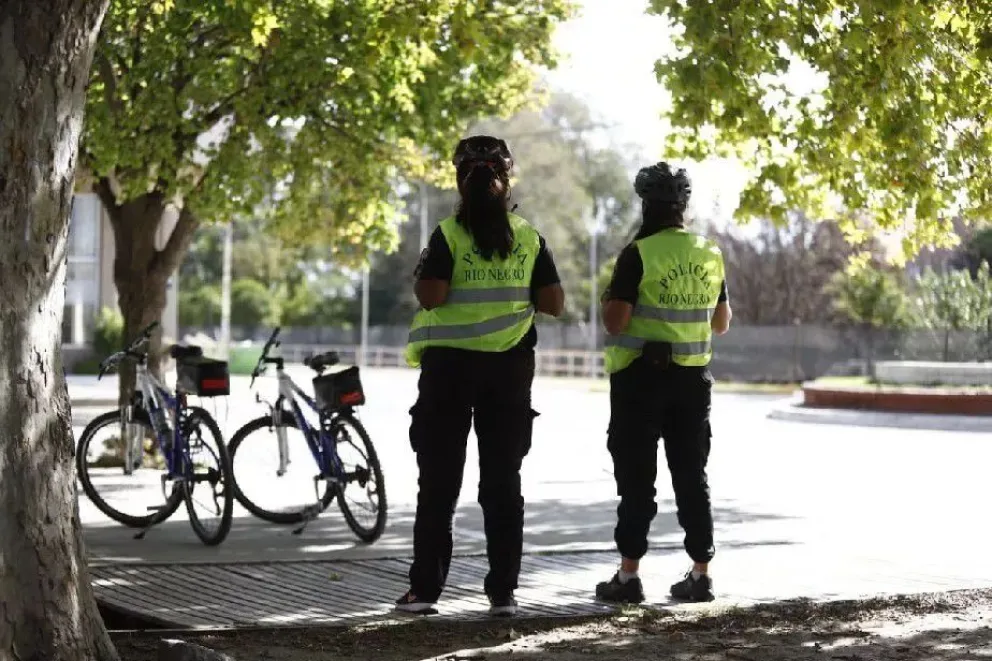 Una mujer policía recibió un ladrillazo cuando intentaba desactivar una fiesta clandestina