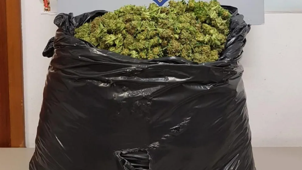 No era lo que parecía: buscaban un celular y encontraron 240 kilos de marihuana en un allanamiento