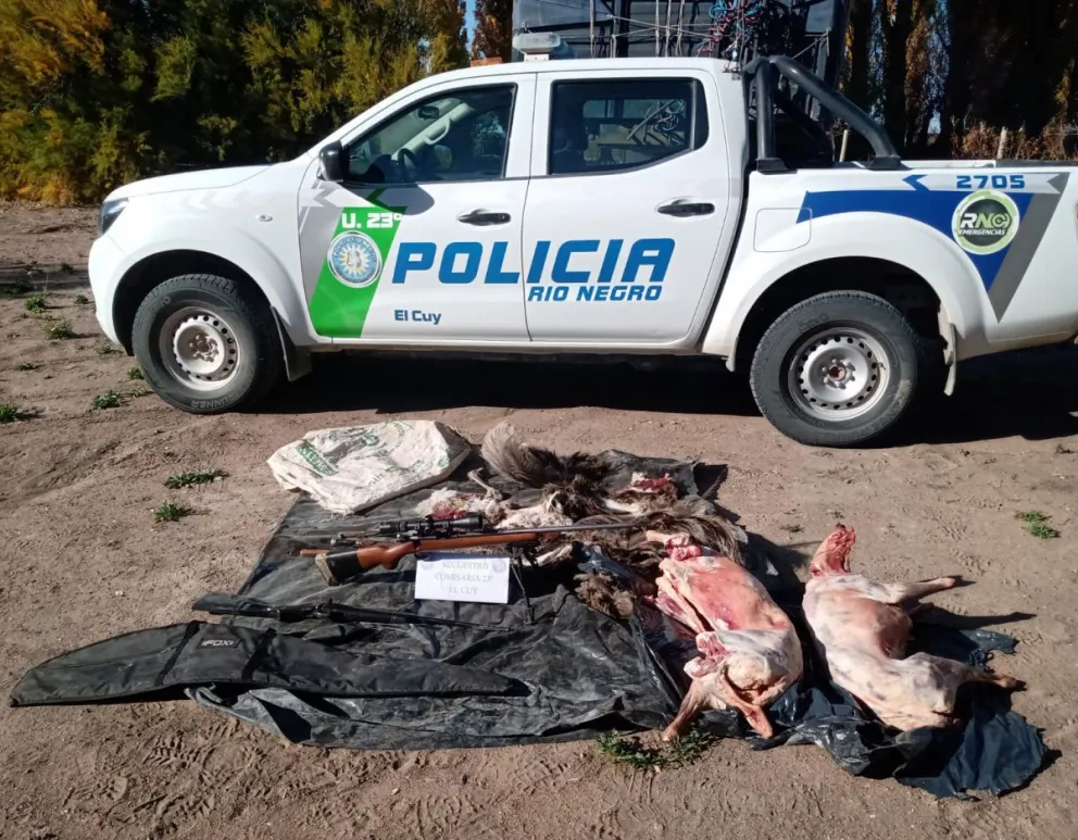 Circulaban por Ruta 6 con ñandúes faenados y armas de fuego
