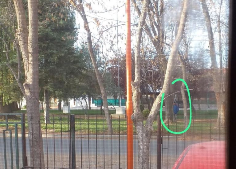Habló la joven tras la denuncia de acoso: “¿Tengo que dejar de venir a trabajar ahora?”
