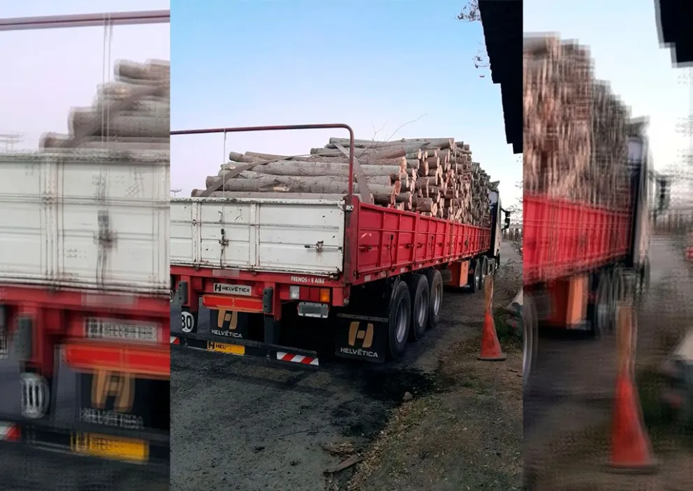 Cruzó toda la región con 30 toneladas de madera sin documentación y lo decomisaron