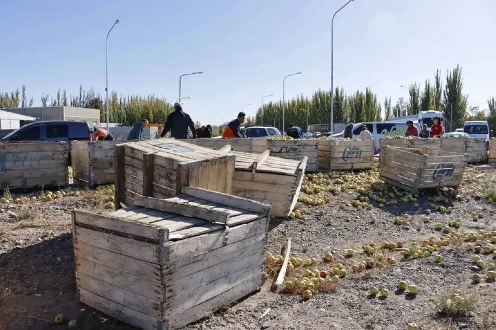 Perdió varios bines de manzana sobre la ruta y los vecinos aprovecharon para llevarse parte de la carga