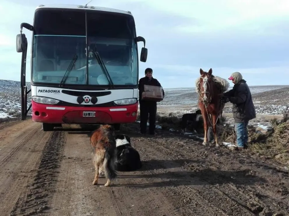 Un nuevo servicio de transportes unirá Roca con la Línea Sur y Bariloche