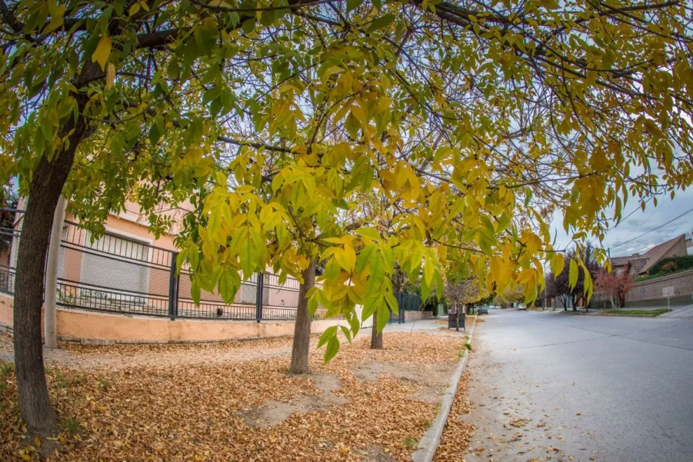 Clima: se viene una semana de mañanas frías y tardes templadas