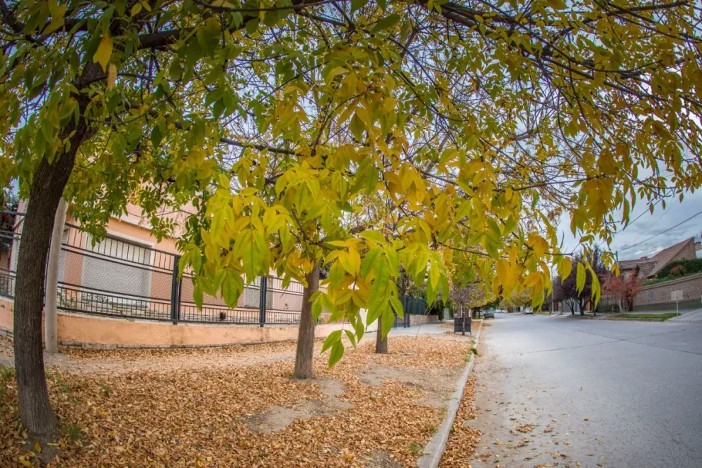 Clima: empieza junio ¿Cómo estará el tiempo?
