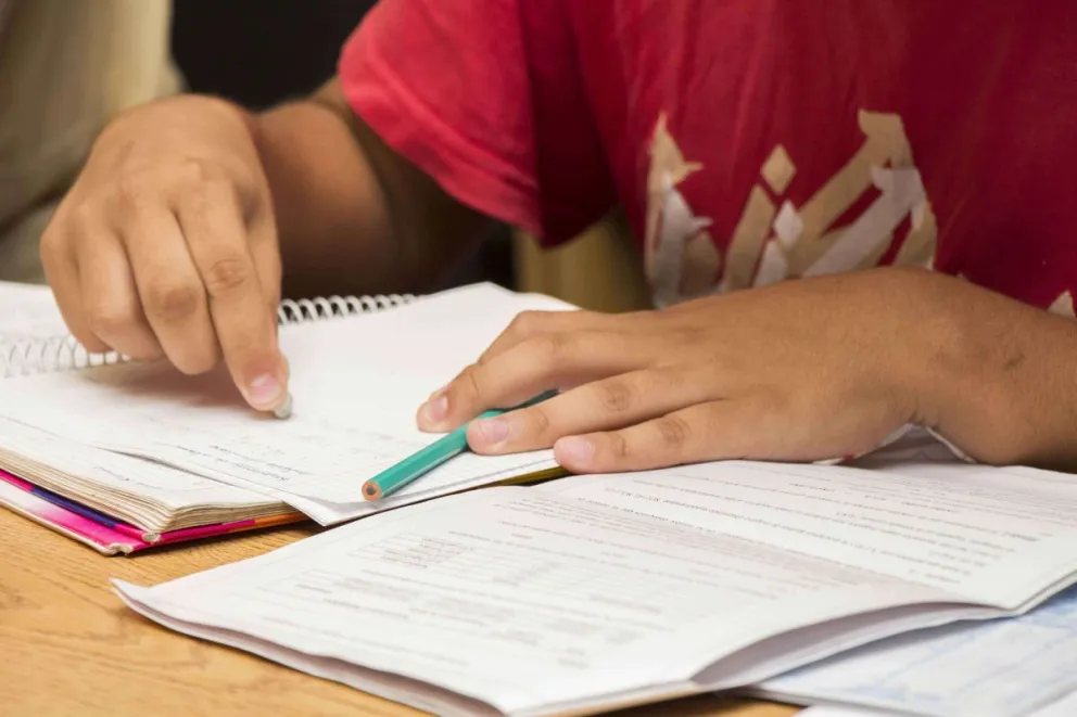 Dictaran clases de apoyo gratuitas para nivel primario y secundario en Roca