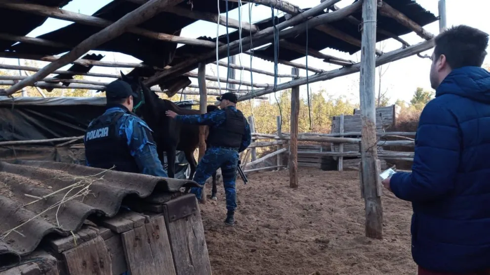 Allanaron una chacra por una denundia de maltrato animal