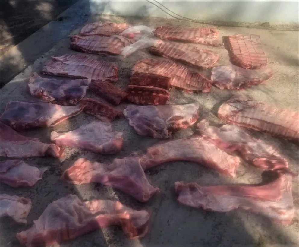Traía 94 kilos de carne escondida en la casilla rodante y fue decomisado por Senasa