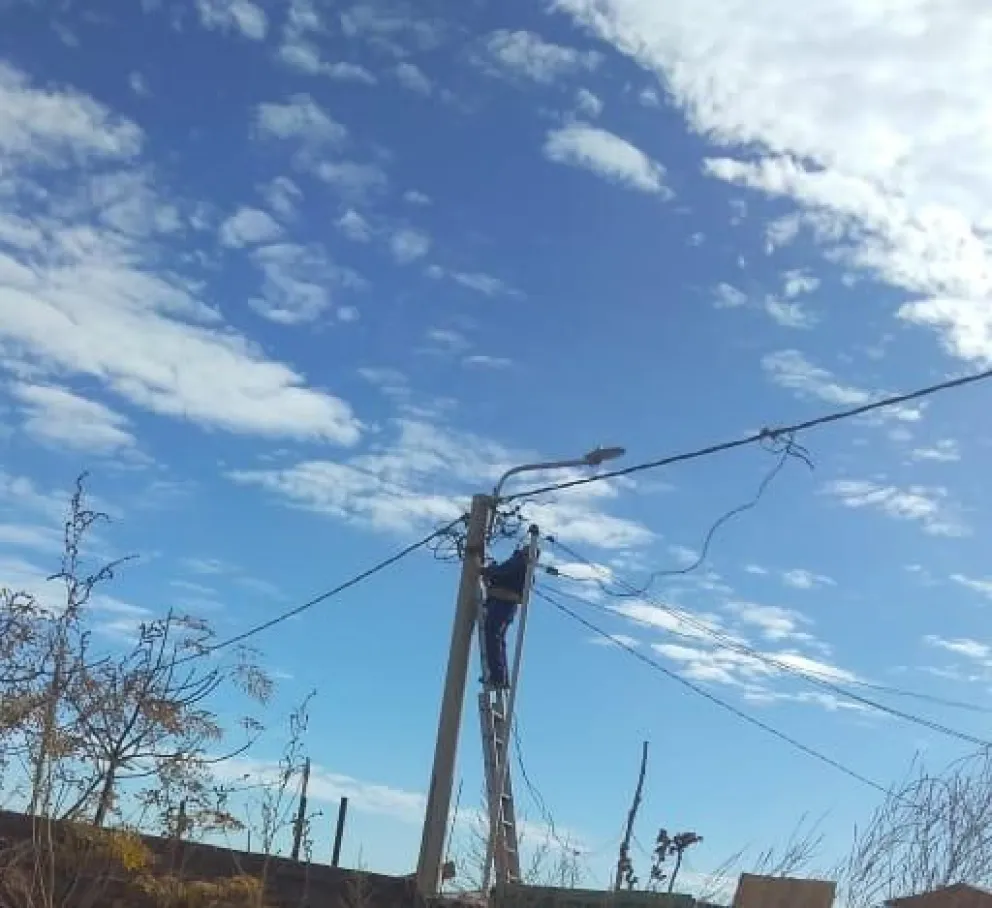 Una imágen vale más que mil palabras: le sacaron una foto mientras robaba cables a plena luz del día