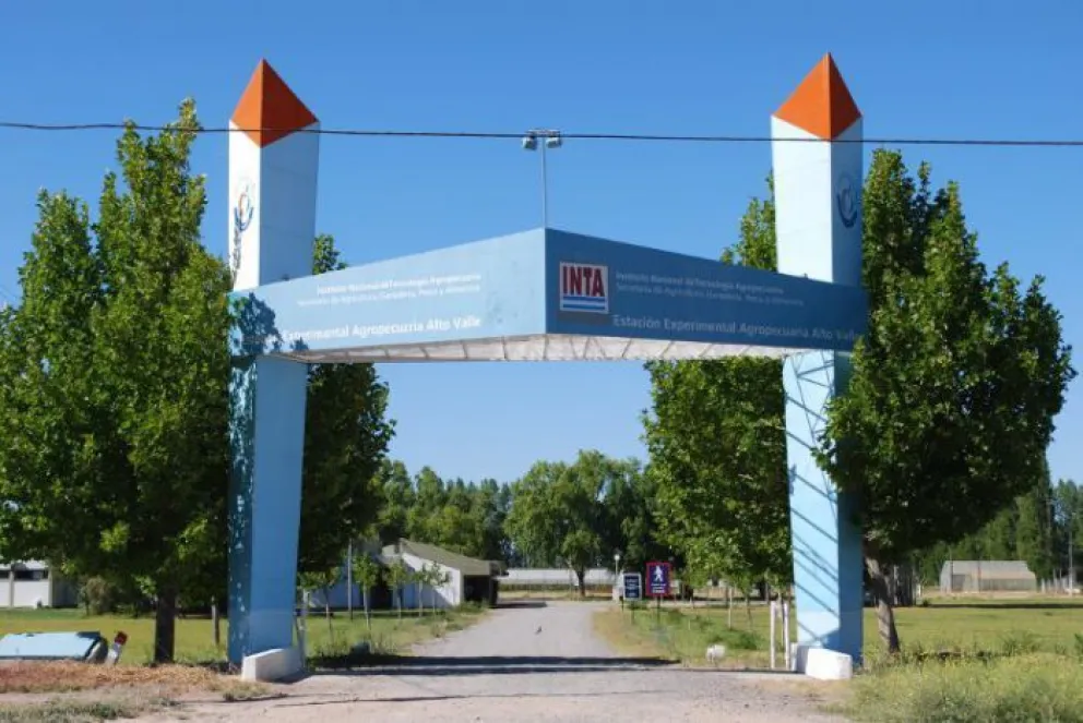 Lanzan en Roca una nueva campaña para fomentar la alimentación saludable