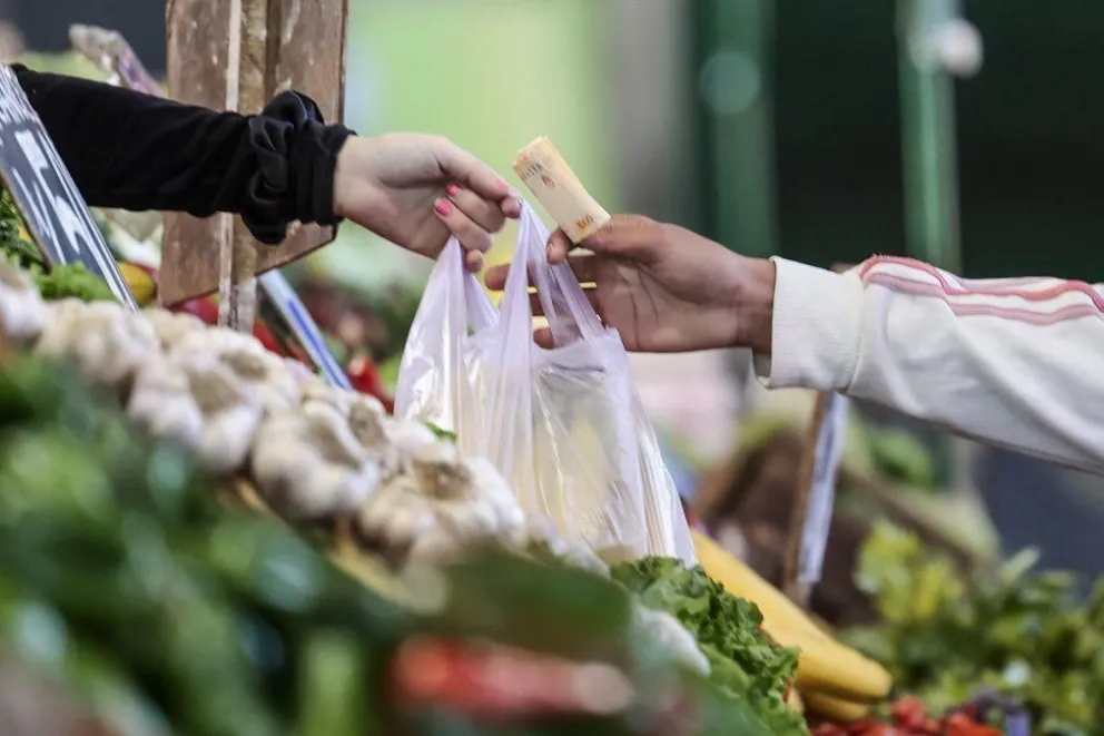 Seis de cada diez hogares argentinos se endeudaron en 2022 para comprar comida y medicamentos
