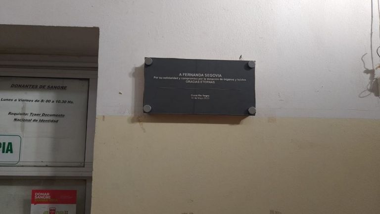 FOTOGALERÍA: inauguraron en el hospital de Roca una placa en reconocimiento a Fernanda Segovia
