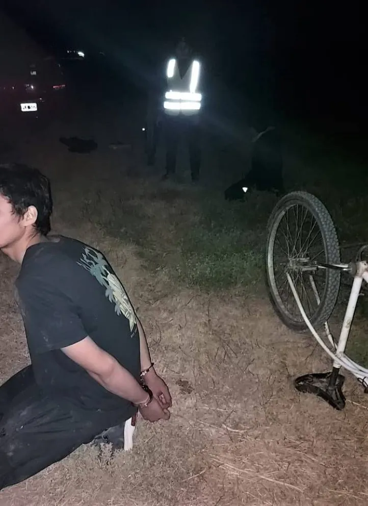 Andaban en bici y robaban luminarias públicas de la Ruta 22 a plena luz del día 