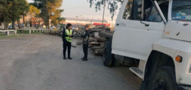 Otra vez, decomisaron a un camionero por tráfico ilegal de madera