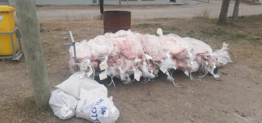 Intentaba entrar media tonelada de carne a la región y se la decomisó la policía