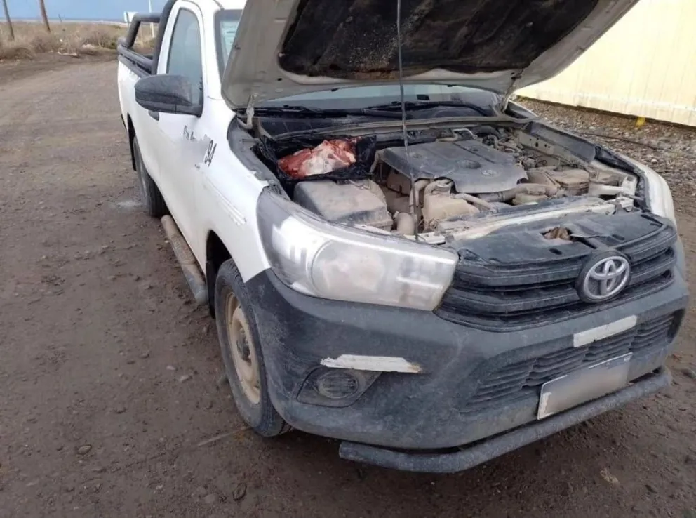 Llevaba el asado en el motor y se lo decomisaron en Casa de Piedra