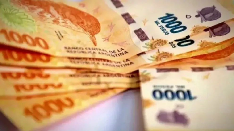 ANSES habilitó créditos de $240.000: cómo solicitarlo y cuáles son los requisitos 