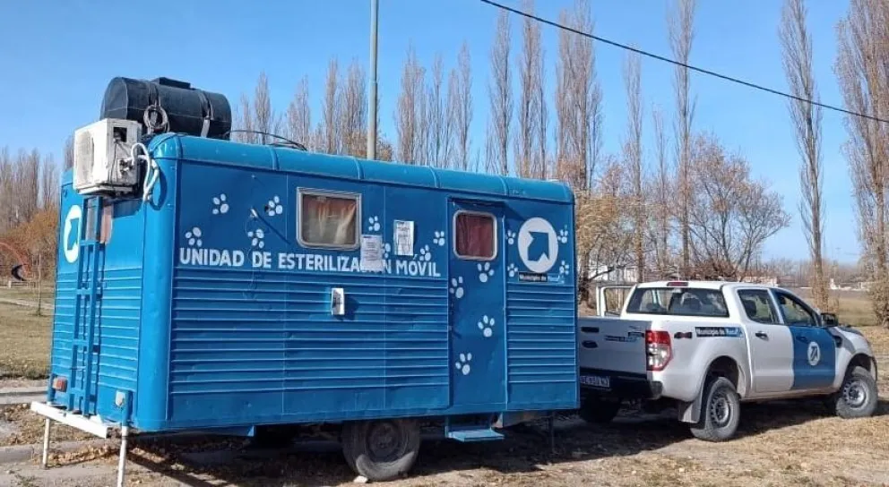 Comienzan las castraciones gratuitas para perros y gatos de cuatro barrios de la ciudad