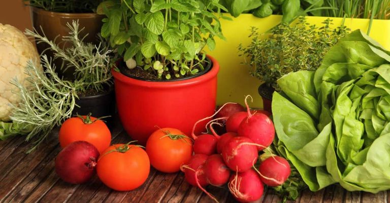 ¿Planes para este sábado?: vuelve la Feria Cultivar a Casa de la Cultura