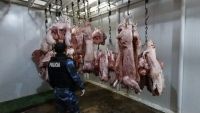 Decomisan casi dos toneladas de carne en mal estado en comercios y depósitos de Roca