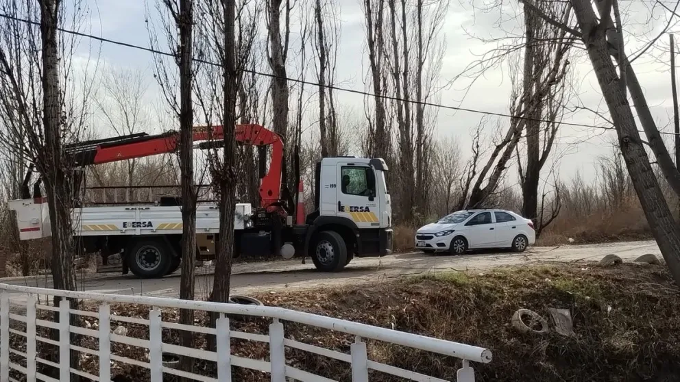 Temporal de viento: Un árbol cayó sobre el auto de una docente