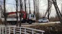 Temporal de viento: Un árbol cayó sobre el auto de una docente