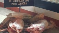 Decomiso de animales faenados en Paso Córdoba