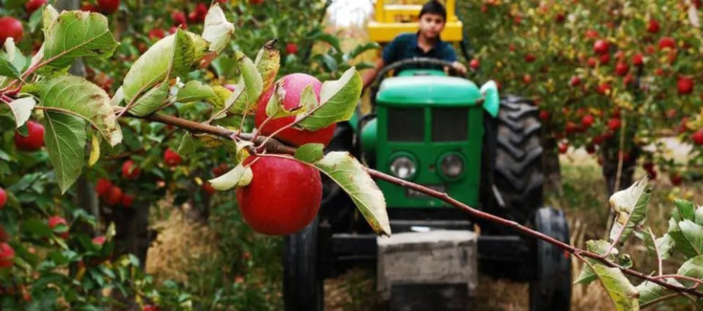 Productores de Río Negro exigen medidas ante la inseguridad en zonas rurales
