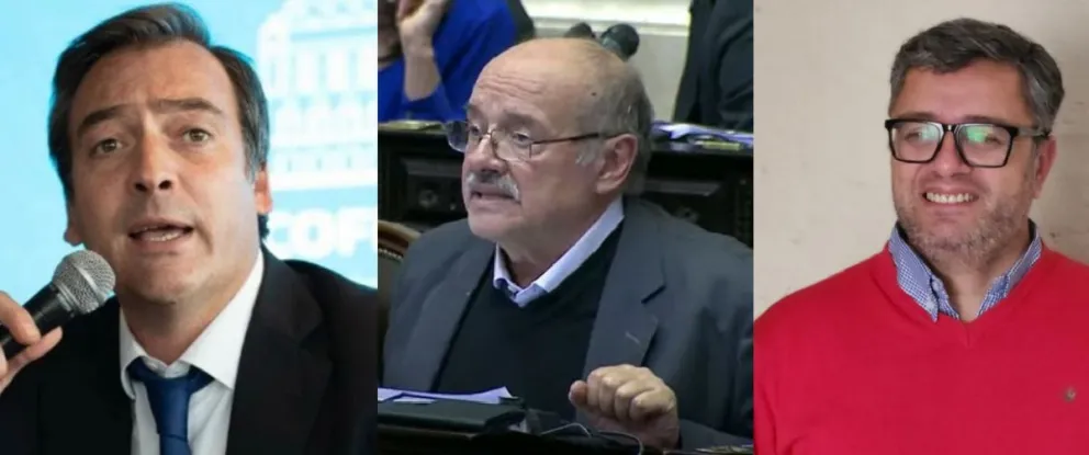 Quienes serían los posibles candidatos de Roca para integrar una banca en Diputados  